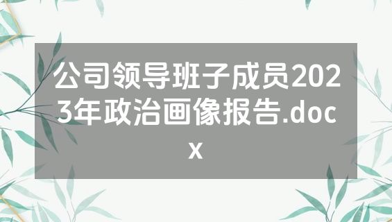 公司领导班子成员2023年政治画像报告.docx