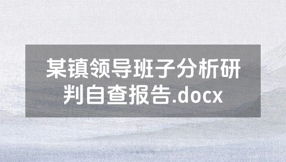 某镇领导班子分析研判自查报告.docx