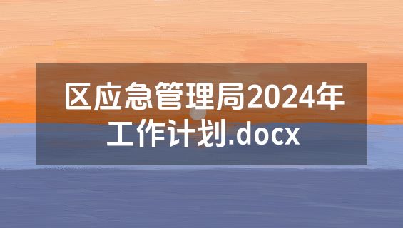 区应急管理局2024年工作计划.docx