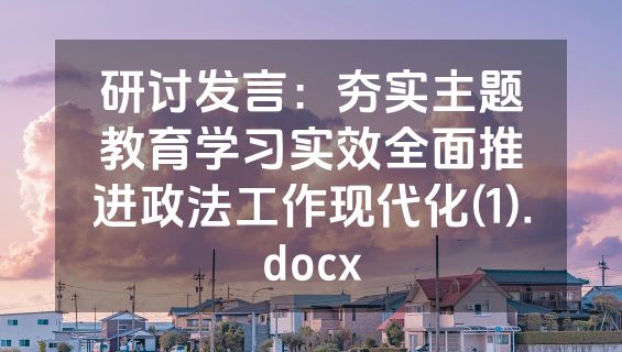 研讨发言：夯实主题教育学习实效全面推进政法工作现代化(1).docx