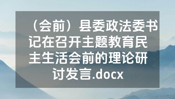 （会前）县委政法委书记在召开主题教育民主生活会前的理论研讨发言.docx