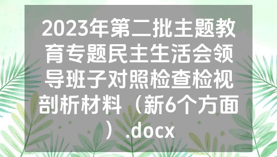 2023年第二批主题教育专题民主生活会领导班子对照检查检视剖析材料（新6个方面）.docx