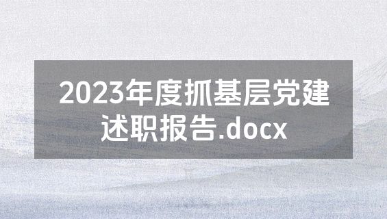 2023年度抓基层党建述职报告.docx