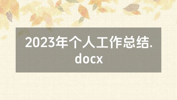 2023年个人工作总结.docx