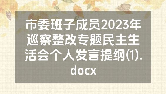 市委班子成员2023年巡察整改专题民主生活会个人发言提纲(1).docx