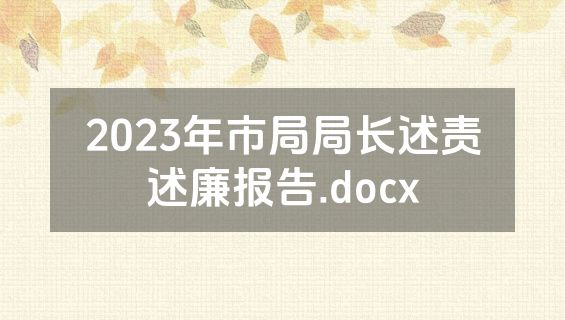 2023年市局局长述责述廉报告.docx