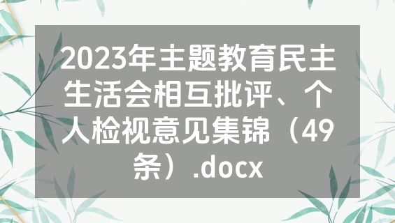 2023年主题教育民主生活会相互批评、个人检视意见集锦（49条）.docx