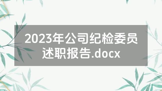 2023年公司纪检委员述职报告.docx