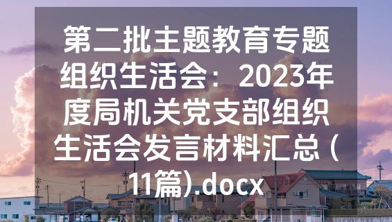 第二批主题教育专题组织生活会：2023年度局机关党支部组织生活会发言材料汇总 (11篇).docx