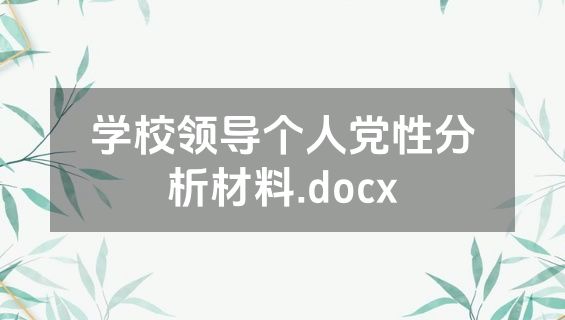 学校领导个人党性分析材料.docx
