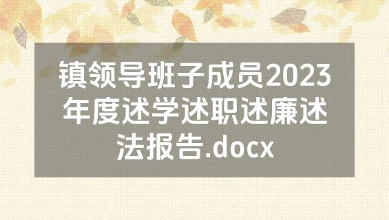 镇领导班子成员2023年度述学述职述廉述法报告.docx