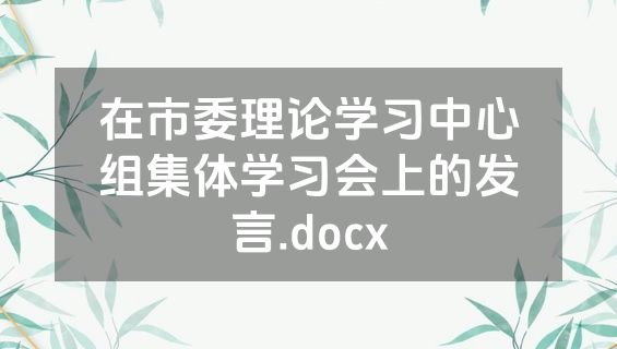 在市委理论学习中心组集体学习会上的发言.docx
