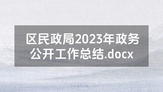 区民政局2023年政务公开工作总结.docx