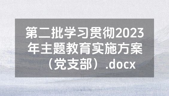 第二批学习贯彻2023年主题教育实施方案（党支部）.docx