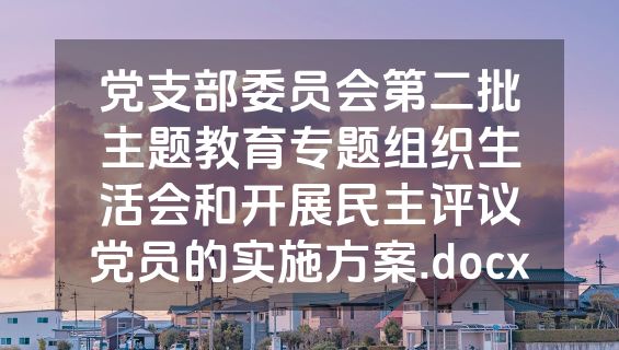党支部委员会第二批主题教育专题组织生活会和开展民主评议党员的实施方案.docx