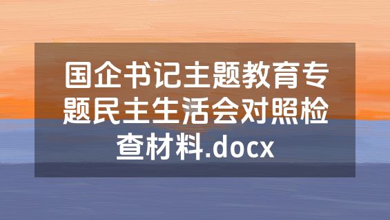 国企书记主题教育专题民主生活会对照检查材料.docx