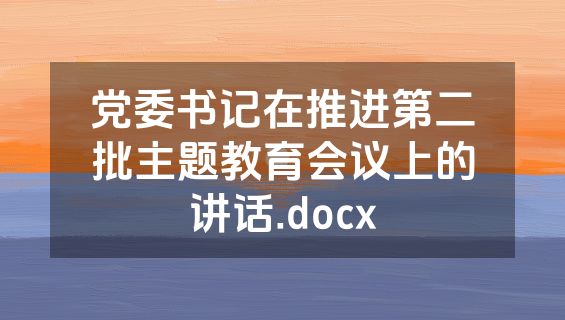 党委书记在推进第二批主题教育会议上的讲话.docx