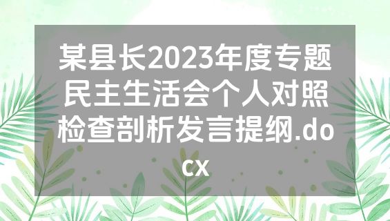 某县长2023年度专题民主生活会个人对照检查剖析发言提纲.docx