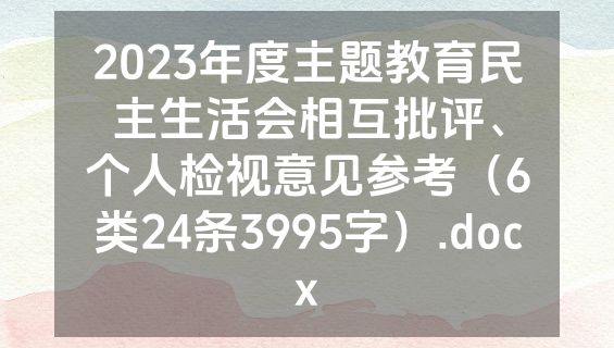 2023年度主题教育民主生活会相互批评、个人检视意见参考（6类24条3995字）.docx
