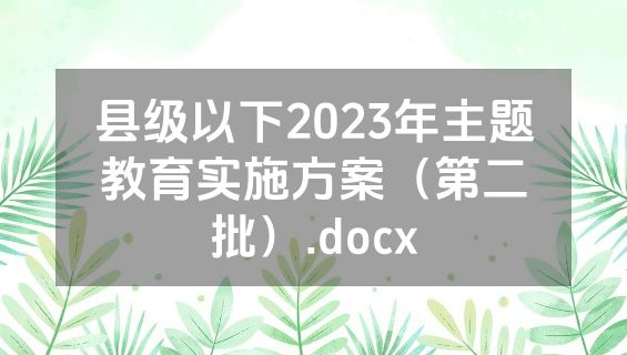 县级以下2023年主题教育实施方案（第二批）.docx