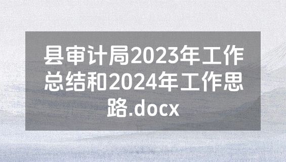 县审计局2023年工作总结和2024年工作思路.docx