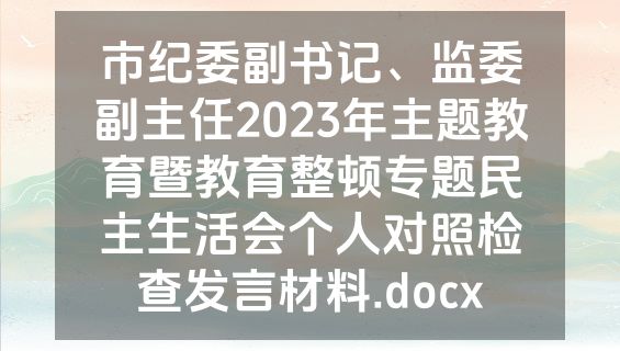 市纪委副书记、监委副主任2023年主题教育暨教育整顿专题民主生活会个人对照检查发言材料.docx