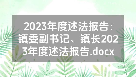 2023年度述法报告：镇委副书记、镇长2023年度述法报告.docx