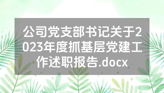 公司党支部书记关于2023年度抓基层党建工作述职报告.docx