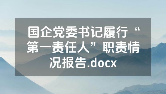国企党委书记履行“第一责任人”职责情况报告.docx