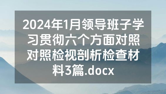 2024年1月领导班子学习贯彻六个方面对照对照检视剖析检查材料3篇.docx