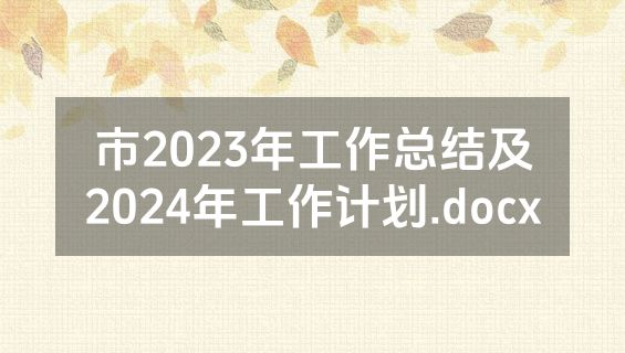 市2023年工作总结及2024年工作计划.docx