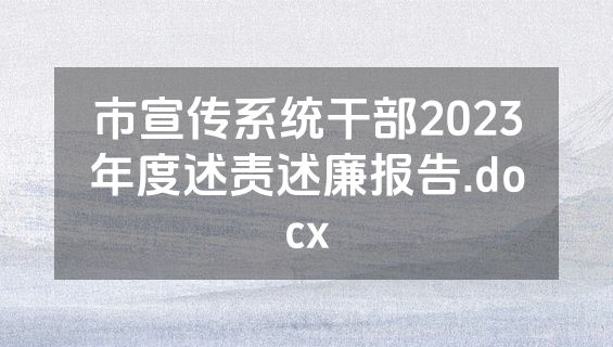市宣传系统干部2023年度述责述廉报告.docx