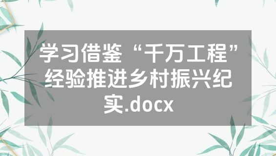 学习借鉴“千万工程”经验推进乡村振兴纪实.docx