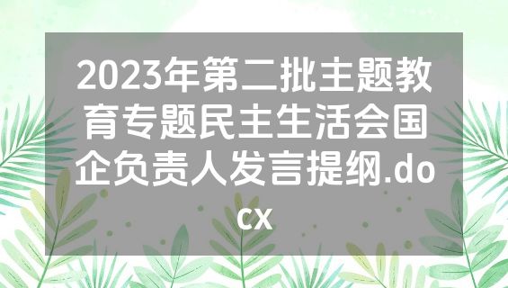2023年第二批主题教育专题民主生活会国企负责人发言提纲.docx