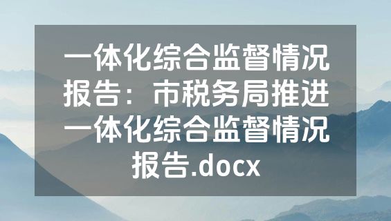 一体化综合监督情况报告：市税务局推进一体化综合监督情况报告.docx
