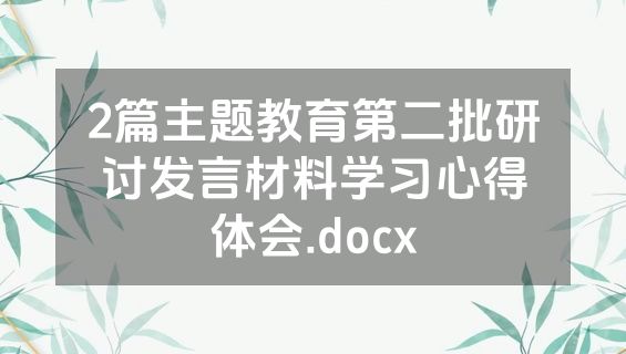 2篇主题教育第二批研讨发言材料学习心得体会.docx