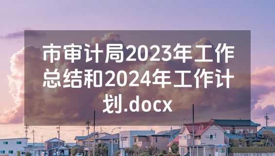 市审计局2023年工作总结和2024年工作计划.docx