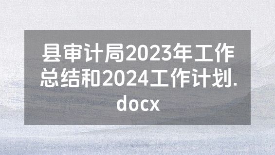 县审计局2023年工作总结和2024工作计划.docx