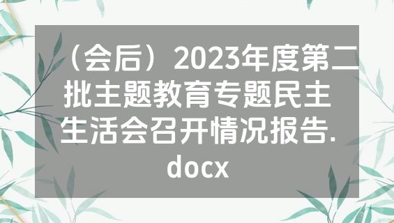 （会后）2023年度第二批主题教育专题民主生活会召开情况报告.docx