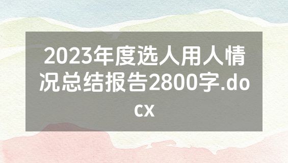 2023年度选人用人情况总结报告2800字.docx