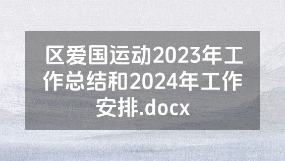 区爱国运动2023年工作总结和2024年工作安排.docx