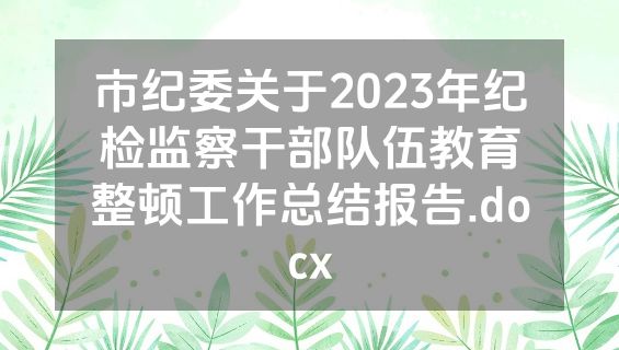 市纪委关于2023年纪检监察干部队伍教育整顿工作总结报告.docx