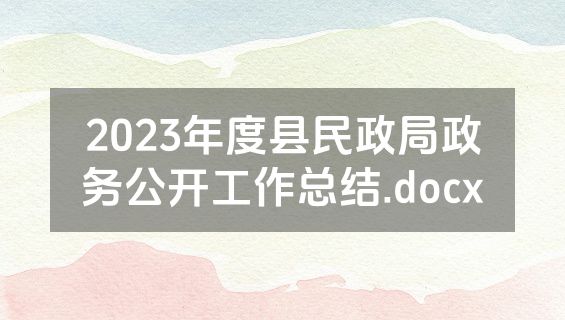 2023年度县民政局政务公开工作总结.docx