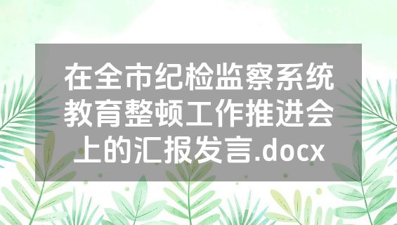 在全市纪检监察系统教育整顿工作推进会上的汇报发言.docx