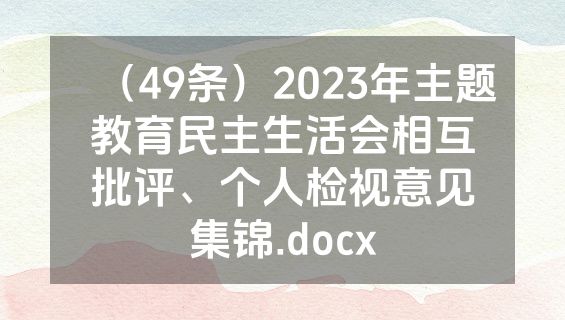 （49条）2023年主题教育民主生活会相互批评、个人检视意见集锦.docx