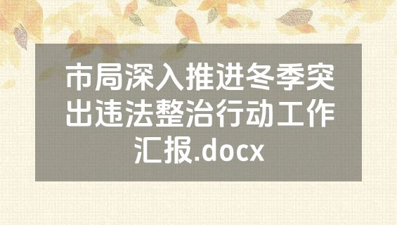 市局深入推进冬季突出违法整治行动工作汇报.docx