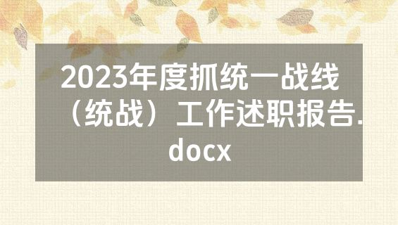 2023年度抓统一战线（统战）工作述职报告.docx