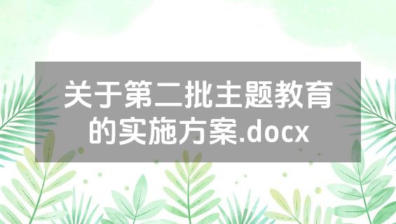 关于第二批主题教育的实施方案.docx