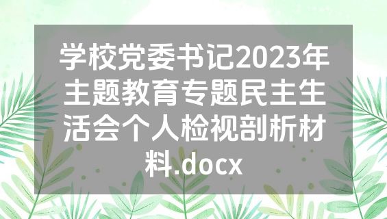 学校党委书记2023年主题教育专题民主生活会个人检视剖析材料.docx