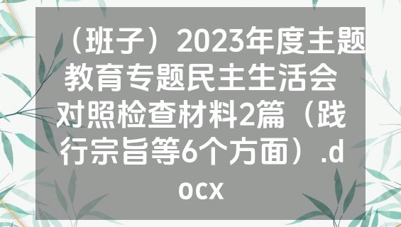 （班子）2023年度主题教育专题民主生活会对照检查材料2篇（践行宗旨等6个方面）.docx